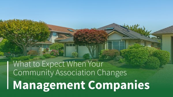 What to Expect When Your Community Association Changes Management Companies  Insert a Block